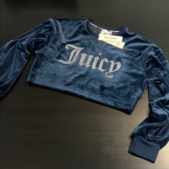 Juicy Couture Tops - Juicy Couture Blue Velvet Cropped balloon sleeve Sweatshirt